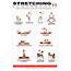 Lower Body Stretching Poster 24 X 36