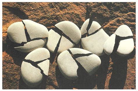 Earthworks And Beyond 4th Edition Next Image Andy Goldsworthy Cracked