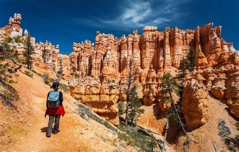 How To Choose Between Zion And Bryce Canyon Lonely Planet