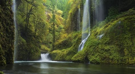 Green Leafed Tree Landscape River Waterfall Forest Hd Wallpaper