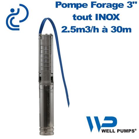 Pompe Forage 3 Wps Inox 25m3h à 30m