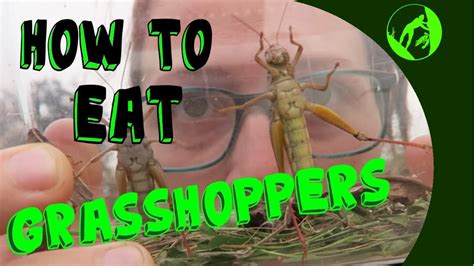 What Does Grasshopper Taste Like 16 Most Correct Answers Ar