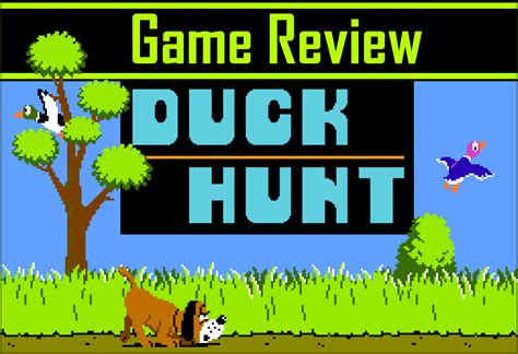 Duck Hunt Review Videogame Guy