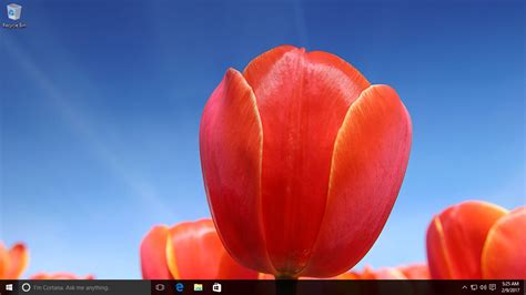 Windows 10 Tutorial View A Slideshow On Your Desktop Windowschimp