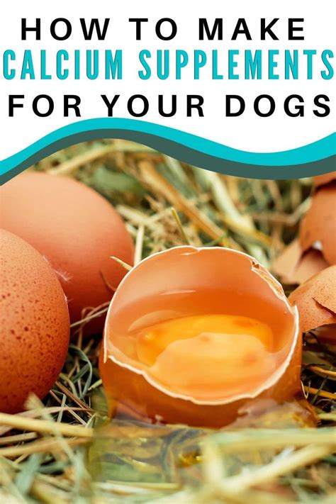 Meets aafco standards for dog food nutrition, so you know your one of our senior dogs has difficulty digesting type of kibble we've tried, so our vet suggested making his food and adding an aafco approved vitamin/mineral supplement. Easily make your own eggshell calcium supplement for dogs ...