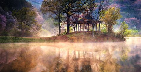 Lake Sunrise Mist Reflection Spring Trees Water