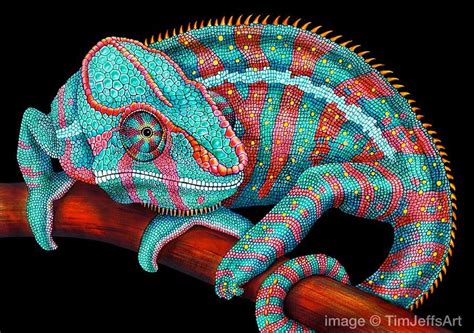 Panther Chameleon Blue Colored Pencil Drawing Etsy Pencil Drawings