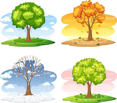 Different Trees In Four Seasons 4870693 Vector Art At Vecteezy