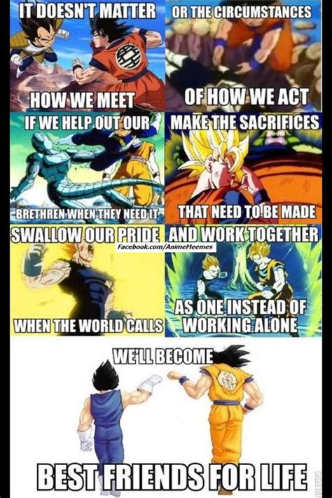 Only the real fans of dragon ball z will understand some of these gems. A Visual Lesson in Friendship by Dragon Ball Z | Manga ...