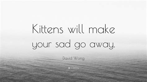 Attractive, wealthy, and famous people sometimes obtain intimate services via the underground commercial market. David Wong Quote: "Kittens will make your sad go away." (7 wallpapers) - Quotefancy