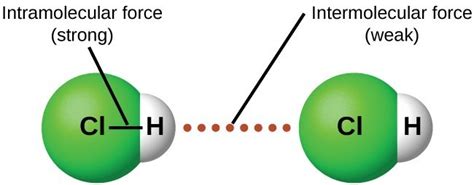 Intermolecular Forces General Chemistry