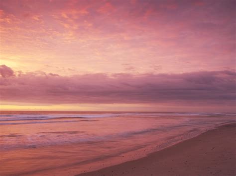 Pink Beach Sunset Wallpaper Images The Best Porn Website