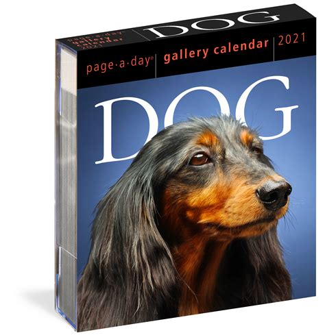 Dog Gallery Desk Calendar