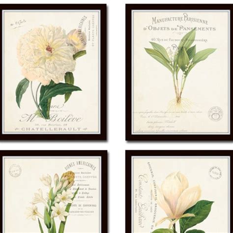 French Botanical Collage Print Set No 3 Botanical Print Etsy