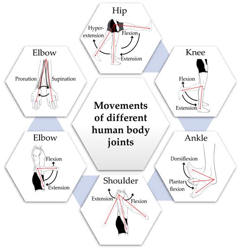 Sensors Free Full Text Monitoring Methods Of Human Body Joints State Of The Art And