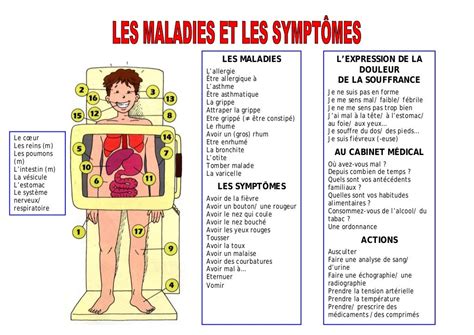 1 Les Parties Du Corps Les Maladies Et Les Symptomes