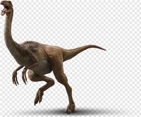 Gallimimus Jurassic World Evolution Dinosaurs Png 607x505