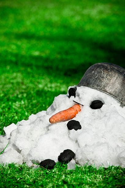 Best Melted Snowman Stock Photos Pictures And Royalty Free Images Istock