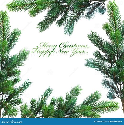 Branch Of Christmas Tree Stock Image Image Of Firtree 28146733