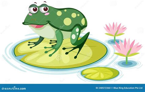 Cute Frog On Lily Pad On White Background Stock Vector Illustration