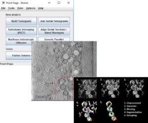 Cell Imaging Workflow - SiriusXT - Cell Structure Imaging