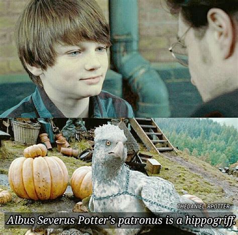 Fact Bout Hp Eh 👏👏😄😄 Albus Severus Potter Harry Potter Hermione