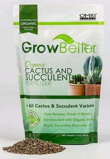 Best Soil And Fertilizer For Cacti And Succulents Succulent Plant Care
