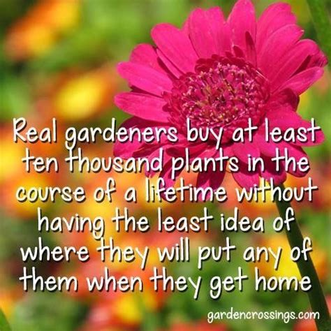 pin by meredith seidl on gardening garden quotes gardening humor plants