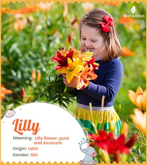 Lilly Name Meaning Origin History And Popularity Momjunction