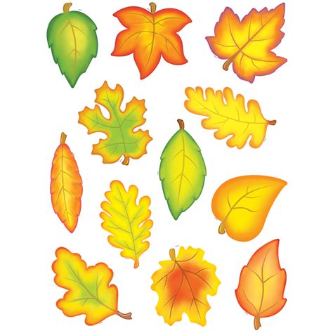 Fall Leaves Accents Tcr4419 Teacher Created Resources