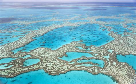 10 Best Great Barrier Reef Tours And Vacation Packages 2021