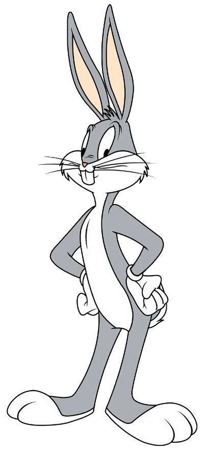 Bugs Bunny Wiki Reino Animalia Fandom