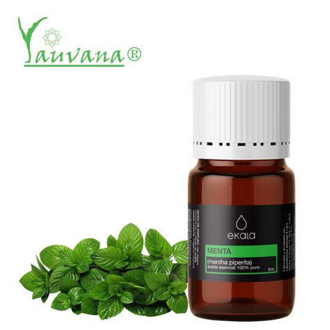 Aceite Esencial De Menta Organico Peppermint Mentha Piperita 5ml