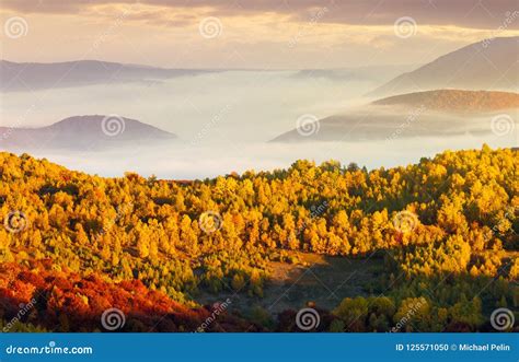 Beautiful Autumn Landscape In Mountains Stock Photo Image Of