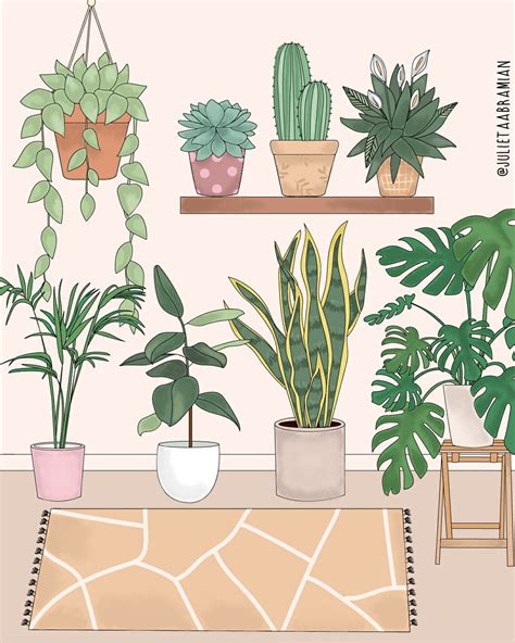 Aesthetic Plant Drawings Wallpaper