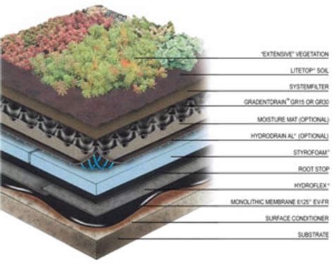 Environmentally Friendly Green Space Roofs The New Urban Frontier