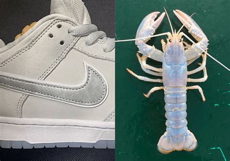 Nike Sb Dunk ‘white Lobster Em 2023 Sneakersbr Lifestyle Sneakerhead