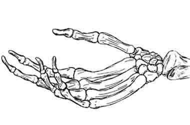 Tutorial dibujo de manos, diferentes posiciones, curso online how to draw hands drawing draw dibujo lapiz dedos. skeleton hand - Google Search | Skeleton hands drawing, Skeleton hand tattoo, How to draw hands