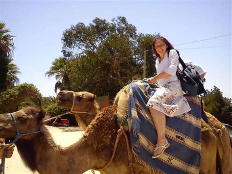 I've seen camels on tangier's main city beach and i've seen them in the rmilat / perdicaris part of town, and also near. Day Trip to Tangier, Morocco, worth it? - Wanderlust Marriage
