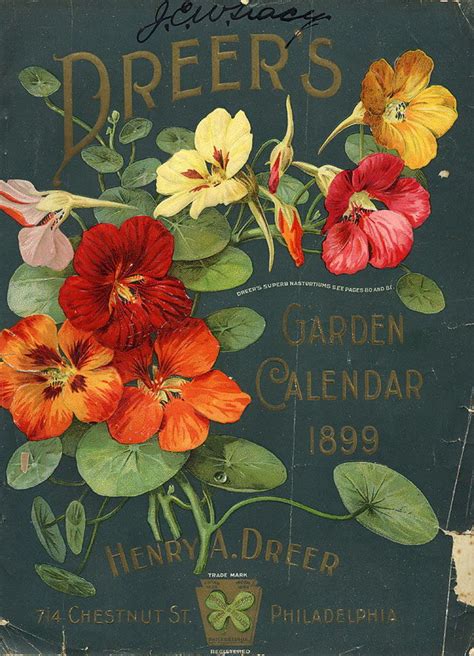Vintage Packaging Flower Seed Packets From The 1800s Dieline
