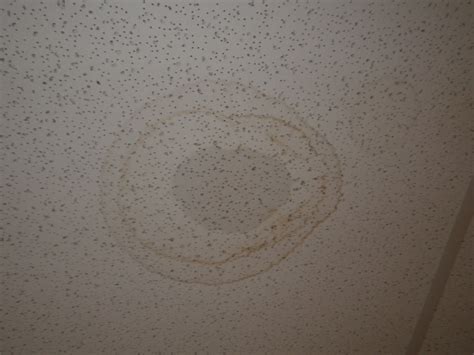 Is That Spot On The Ceiling An Active Roof Leak