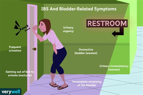 Are Bladder Problems Common In People With Ibs