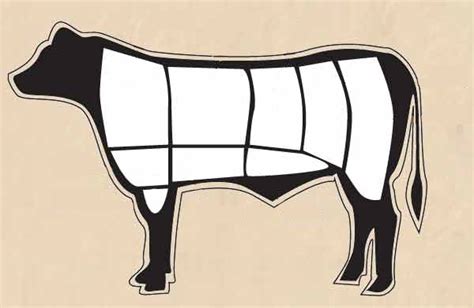 Primal Cuts Beef With Diagram Diagram Quizlet