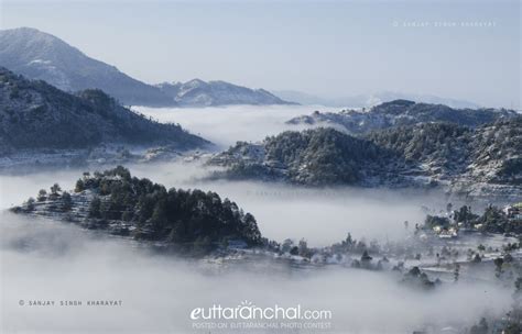 A Beautiful Snowy Misty Morning Uttarakhand Photos