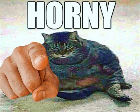 Создать мем кот быканул кот показывает пальцем на тебя выпрямись мем