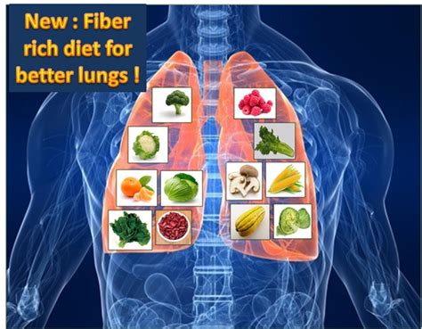 10 foods good for lungs and breathing. High Fiber Diet Reduce Disease Risk - Diet Plan