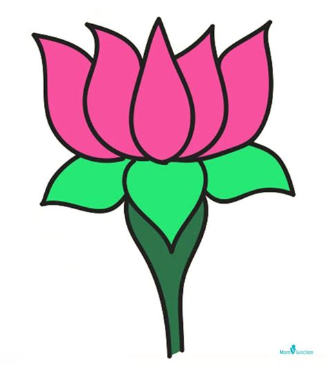 How To Draw Lotus Easy Step By Step Guide Flower Drawing Easy
