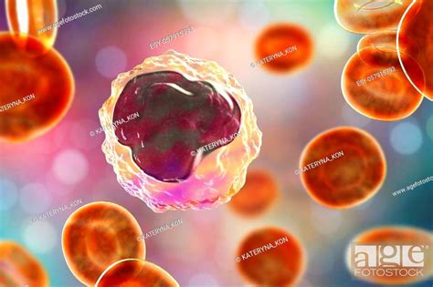 Monocyte Surrounded By Red Blood Cells 3d Illustration Stock Photo