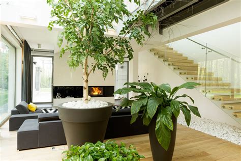 Indoor Gardening How To Plant And Get Benefits From Indoor Greenery