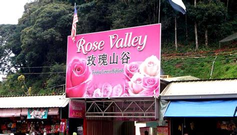 Established in 1989, the place was. Rose Valley, Cameron Highlands